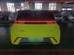 BYD Seagull 2023 Freedom Edition - ფოტო 6