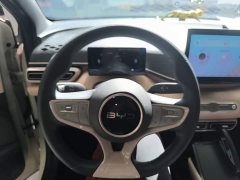 BYD Seagull 2025 Smart Drive 305km Vitality Edition - ფოტო 11