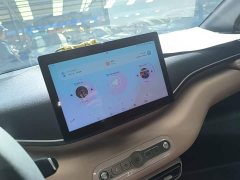 BYD Seagull 2025 Smart Drive 305km Vitality Edition - ფოტო 13