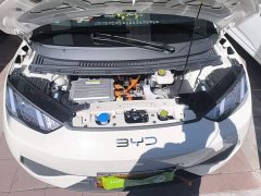 BYD Seagull 2025 Smart Drive 305km Vitality Edition - ფოტო 20