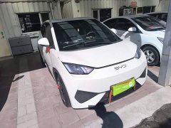 BYD Seagull 2025 Smart Drive 305km Vitality Edition - ფოტო 4
