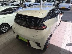 BYD Seagull 2025 Smart Drive 305km Vitality Edition - ფოტო 7
