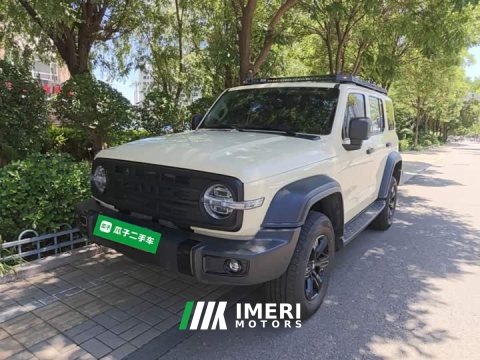 2025 Tank 300 2.0T Gasoline Conqueror - ავტომობილი ჩინეთიდან
