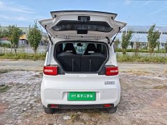Wuling Hongguang MINIEV Zizai Edition LFP Battery - ფოტო 19
