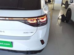 Volkswagen T-ROC Tanyue Facelift 300TSI DSG FWD Chenguang Edition - ფოტო 8