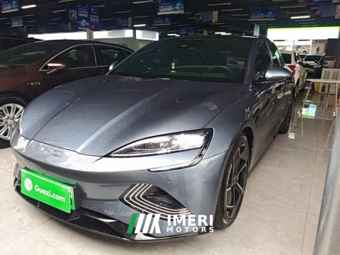 2023 BYD Dolphin Champion Edition 700km Performance Version - ავტომობილი ჩინეთიდან