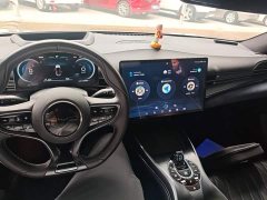 BYD Dolphin Champion Edition 700km Performance Version - ფოტო 10