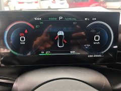 BYD Dolphin Champion Edition 700km Performance Version - ფოტო 12