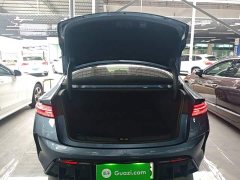 BYD Dolphin Champion Edition 700km Performance Version - ფოტო 19