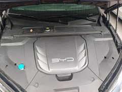 BYD Dolphin Champion Edition 700km Performance Version - ფოტო 20