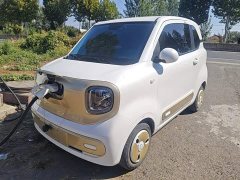 FAW Besturn Xiaoma 222km Lightning Edition - ფოტო 2