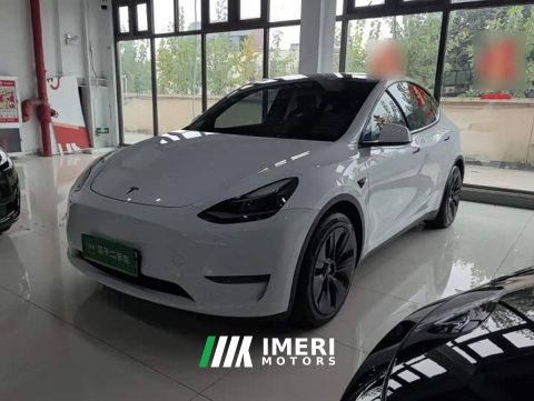 2021 Tesla Model Y Standard Range RWD - ავტომობილი ჩინეთიდან