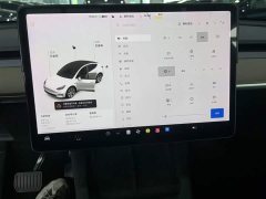 Tesla Model Y Standard Range RWD - ფოტო 13