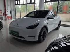 Tesla Model Y Standard Range RWD - ფოტო 2