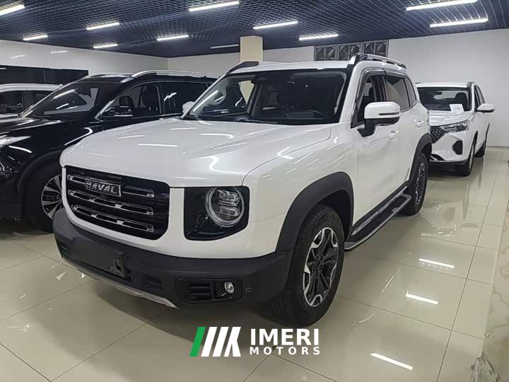 Great Wall Dachshund 2.0T DCT Four-Wheel Drive Chinese Rural Dog Edition
