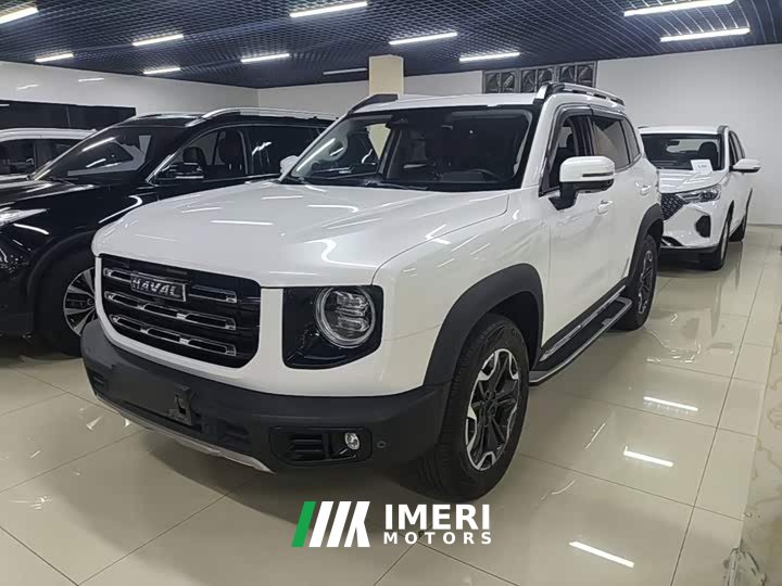 Great Wall Dachshund 2021 2.0T DCT Four-Wheel Drive Chinese Rural Dog Edition - ავტომობილი ჩინეთიდან