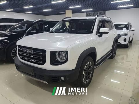 2022 Great Wall Dachshund 2021 2.0T DCT Four-Wheel Drive Chinese Rural Dog Edition - ავტომობილი ჩინეთიდან