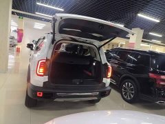 Great Wall Dachshund 2021 2.0T DCT Four-Wheel Drive Chinese Rural Dog Edition - ფოტო 19