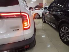 Great Wall Dachshund 2021 2.0T DCT Four-Wheel Drive Chinese Rural Dog Edition - ფოტო 8