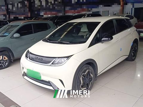 2022 BYD Dolphin 405km Freedom Edition - ავტომობილი ჩინეთიდან