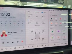 Li Auto Ideal L8 2023 Air - ფოტო 12