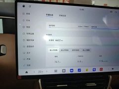Dongfeng Fengshen L8 2025 185KM Dream Edition - ფოტო 12