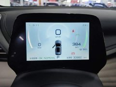 BYD Yuan Plus Champion Edition 430KM Exceed - ფოტო 12