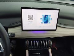 BYD Yuan Plus Champion Edition 430KM Exceed - ფოტო 13