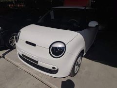 Changan Lumin Treasure Edition 205km Cool Love White CATL - ფოტო 1