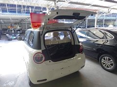 Changan Lumin Treasure Edition 205km Cool Love White CATL - ფოტო 19