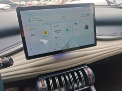 BYD Yuan Plus 430KM Premium Edition - ფოტო 13