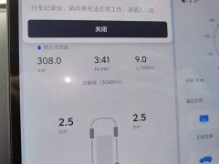 Li Auto L9 2022 Max - ფოტო 4