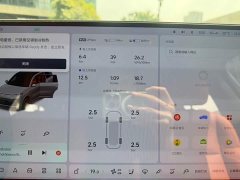 Li Auto L9 2022 Max - ფოტო 5