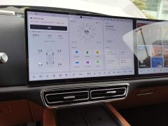 Li Auto L9 2022 Max - ფოტო 6