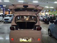 Wuling Hongguang MINIEV Third Generation 215km Youth Edition - ფოტო 19