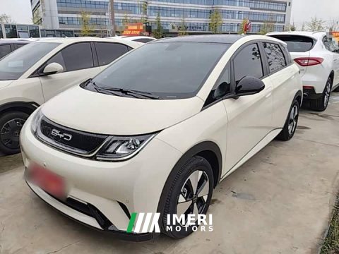 2024 BYD Dolphin 2023 420km Fashion Edition - ავტომობილი ჩინეთიდან