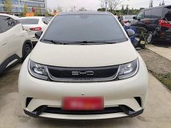 BYD Dolphin 2023 420km Fashion Edition - ფოტო 3