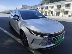 BYD Destroyer 05 2023 Champion Edition DM-i 120KM Luxury - ფოტო 4