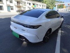 BYD Destroyer 05 2023 Champion Edition DM-i 120KM Luxury - ფოტო 7