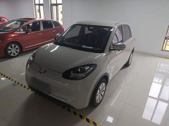 Wuling Binguo 203km Light Enjoy Edition - ფოტო 1
