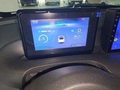 Wuling Binguo 203km Light Enjoy Edition - ფოტო 12