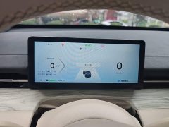 Wuling Xingguang S 510km Pilot Edition - ფოტო 12