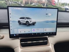 Wuling Xingguang S 510km Pilot Edition - ფოტო 13