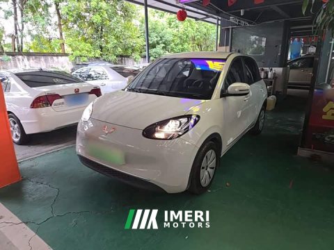 2024 Wuling Binguo 2023 203km Light Enjoy Edition - ავტომობილი ჩინეთიდან