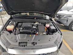 BYD Qin PLUS Champion Edition DM-i 55KM Leading - ფოტო 20