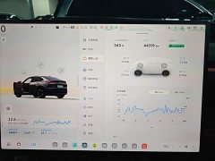 Nio Lerado L60 60kWh AWD - ფოტო 12