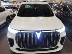 Voyah Lantu Dreamchaser 2022 Low Carbon Edition Family - ფოტო 3
