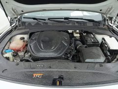 Geely Xingrui 2.0T Diesel Premium - ფოტო 20