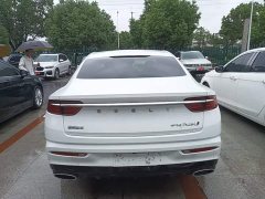 Geely Xingrui 2.0T Diesel Premium - ფოტო 6