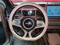 BYD Seagull Glory Edition 405km Flying Edition - ფოტო 11